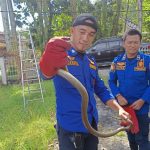 Aksi Heroik Tim DAMKAR MUBA di Hari Libur Tetap Melayani Masyarakat