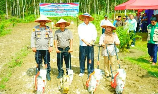 Dukung Swasembada Pangan Nasional, Pemkot Prabumulih Ikut Penanaman Jagung