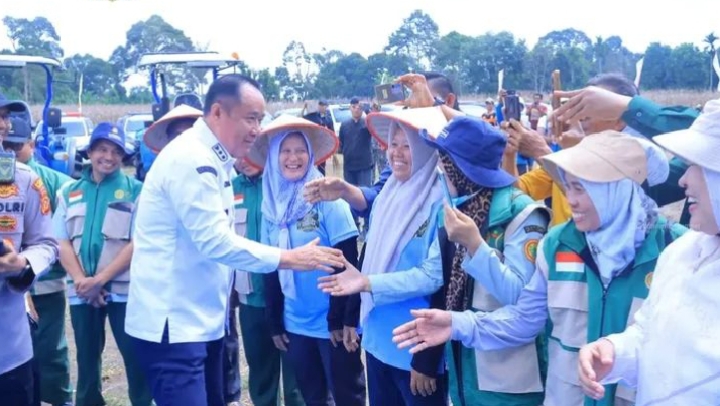Swasembada Pangan Diperkuat, Wagub Sumsel Hadiri Panen Raya Jagung di OKUS